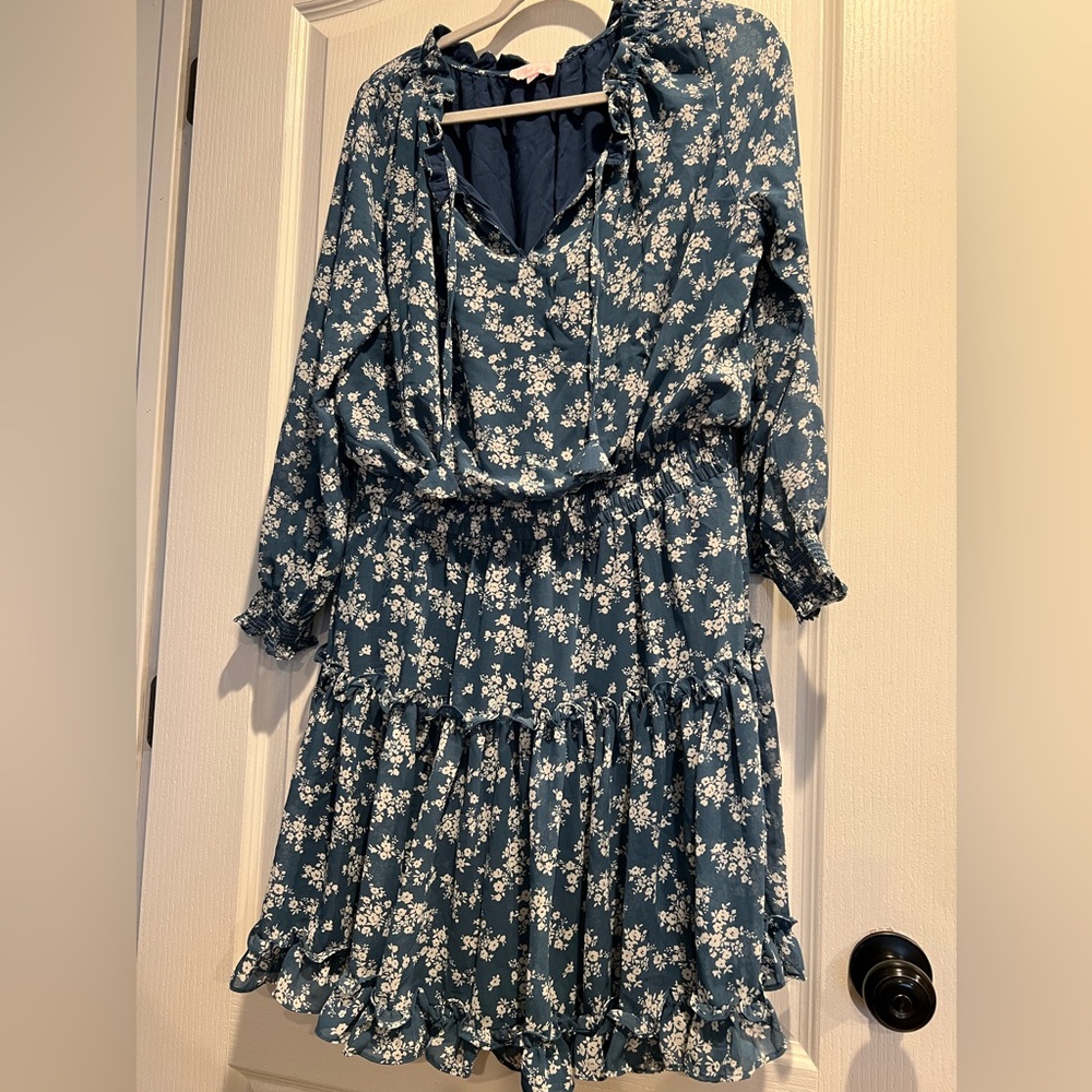 Pink Lily blue floral dress